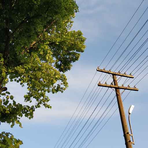 Aurora-Tree-Removal-Service-Utility-Line-Clearance